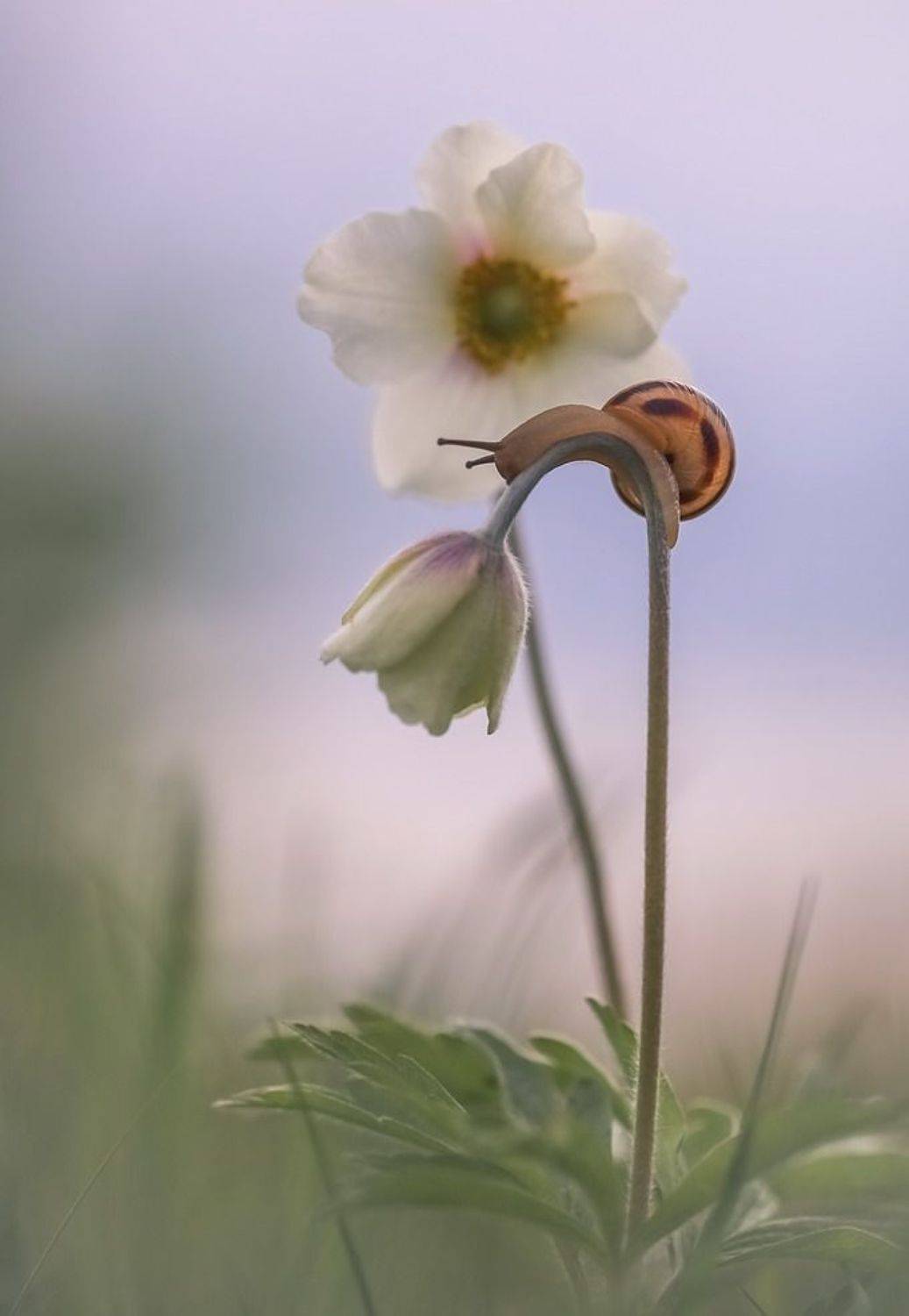 Не все дороги гладкие.... Автор: Вячеслав Мищенко , Вячеслав Мищенко