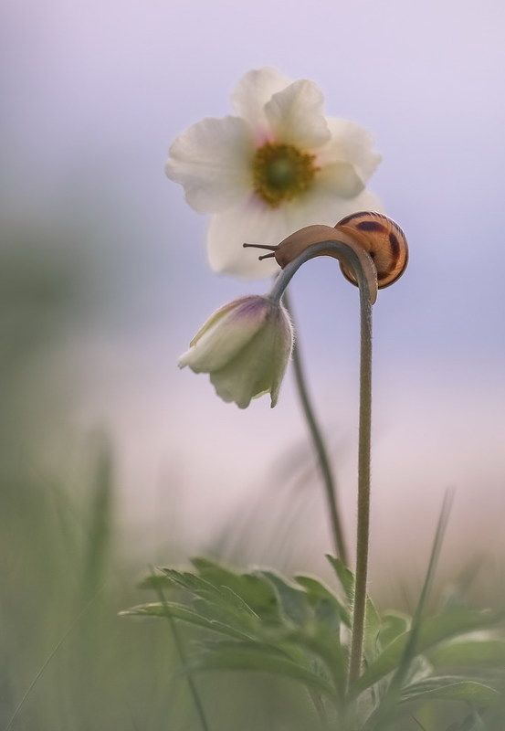 Не все дороги гладкие...photo preview