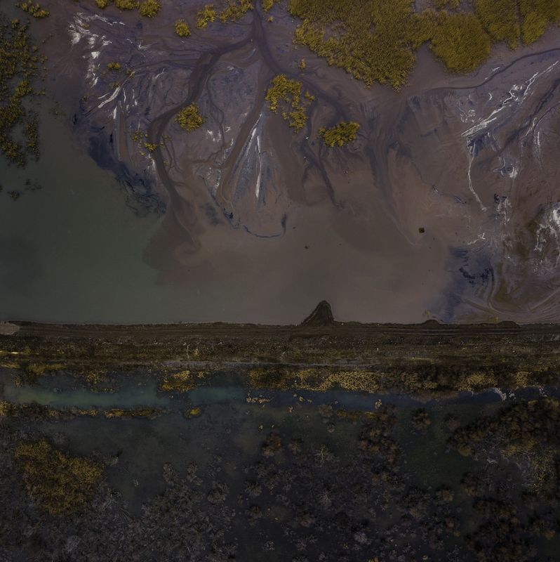 Alien Worldphoto preview