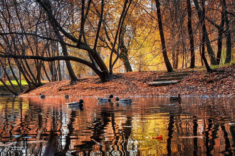 Парк Екатерингофphoto preview