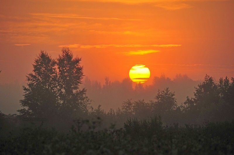 пейзаж, природа,солнце,рассвет,утро,туман,россия,псковская область Начало нового дня.photo preview