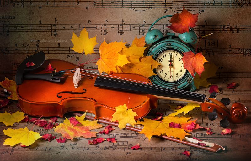 осень,листья,скрипка Осенняяphoto preview
