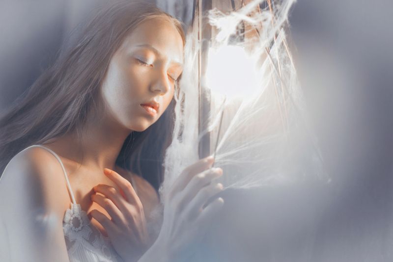 Venus flytrap part 1photo preview