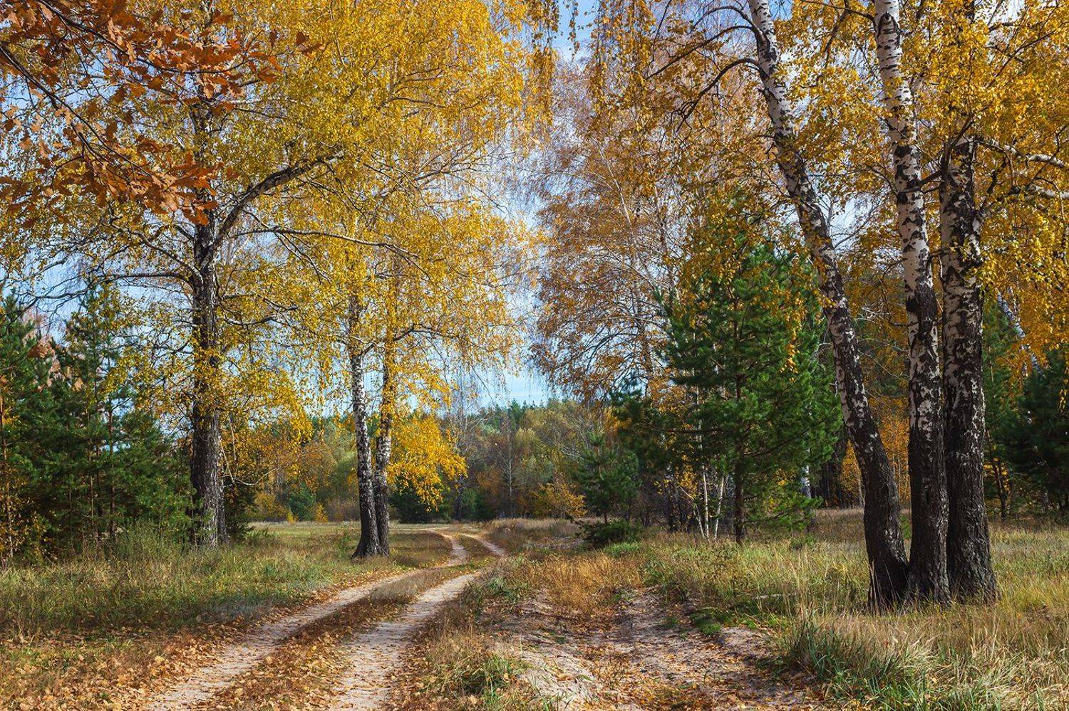осень, октябрь, Руслан Востриков