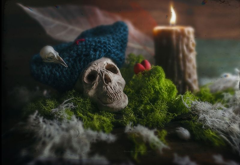 день 31*photo preview