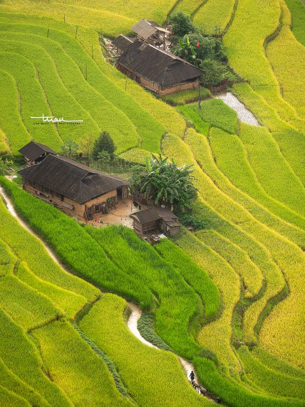 Ban Phung  06photo preview