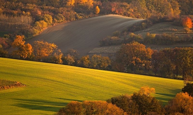 Golden hourphoto preview