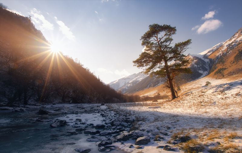 Встречая утро.photo preview