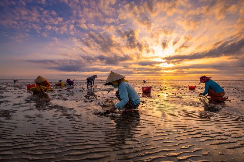 cào Nghêuphoto preview