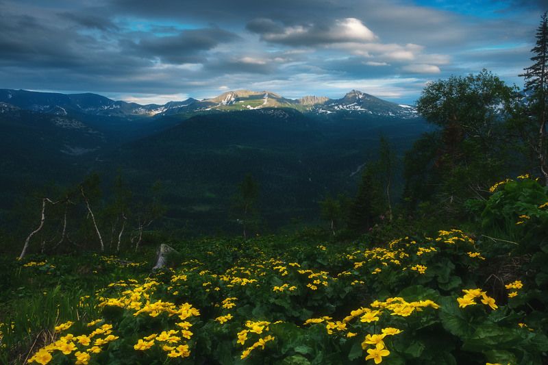 россия, кемеровская область, кузнецкий алатау, поднебесные зубья, тигир-тиш, хребет, сибирь, весна, пейзаж, природа, закат Поднебесные Зубьяphoto preview
