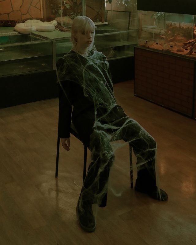 showpiecephoto preview