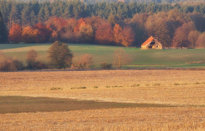 Kukurydzaphoto preview