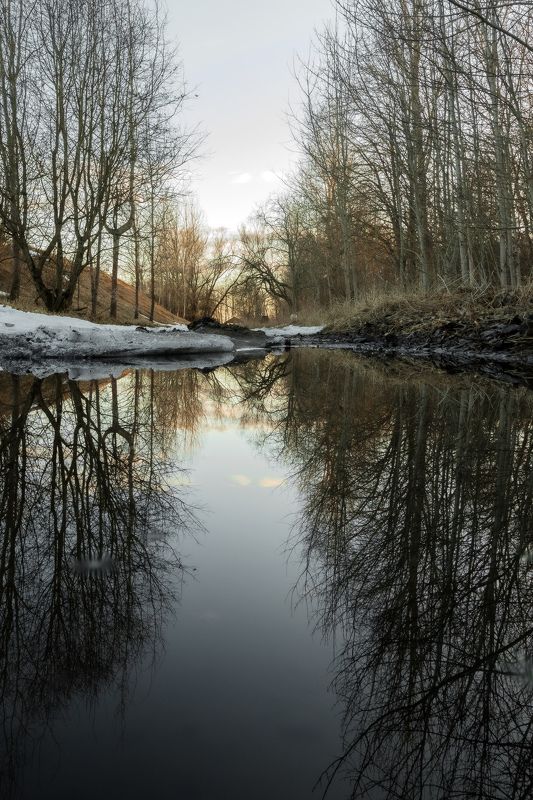 пейзаж, природа, отражение, весна, вечер Отражение фото превью