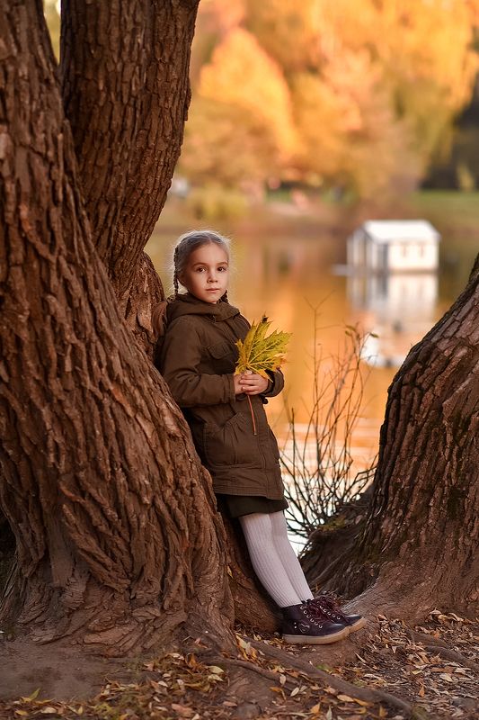 Осень на закатеphoto preview