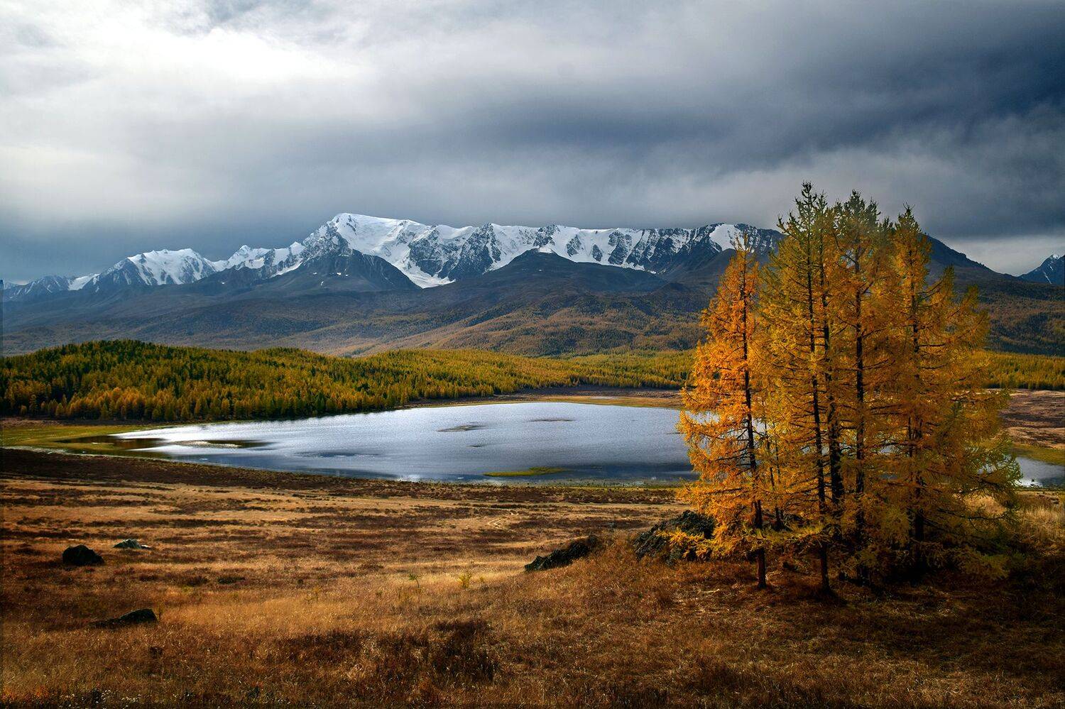 Осень медного отлива.... Автор: Светлана Крат , Светлана Крат