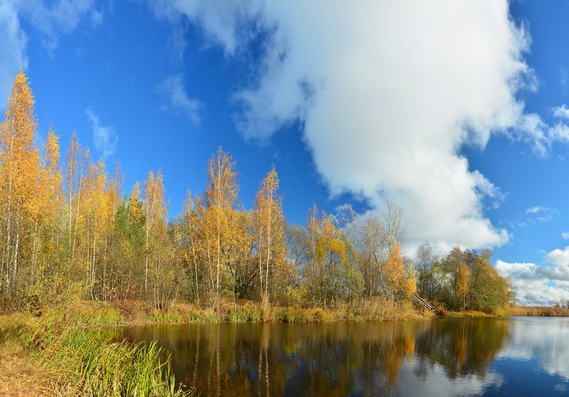 Осень Краски осениphoto preview