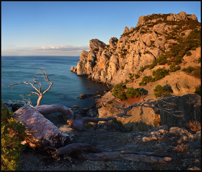 Утро ...photo preview