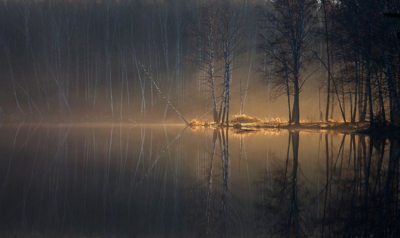 туман, рассвет, осень Светphoto preview