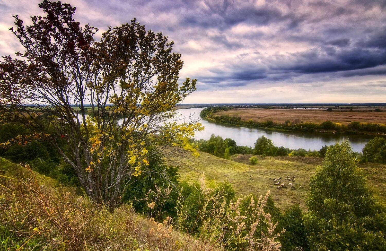 Пасмурный сентябрь.. Автор: Анатолий Салтыков осень,река,овцы,пастух., Анатолий Салтыков