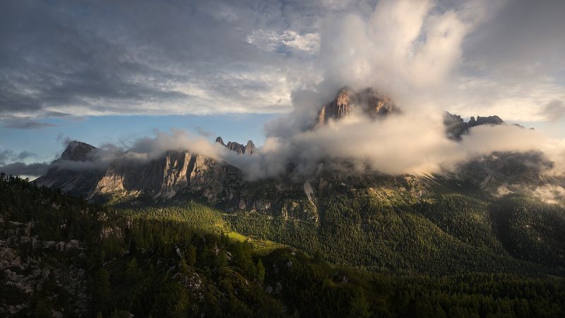 The Hand Of Godphoto preview