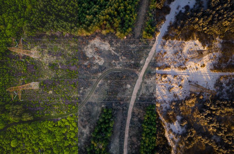 3 seasonsphoto preview