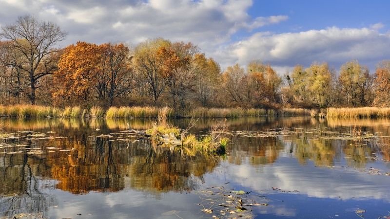 осень, река, отражения, позолота, облака затонphoto preview