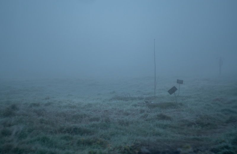 тишина сейчас*photo preview