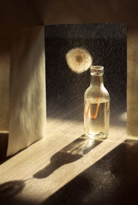 Тушите светphoto preview