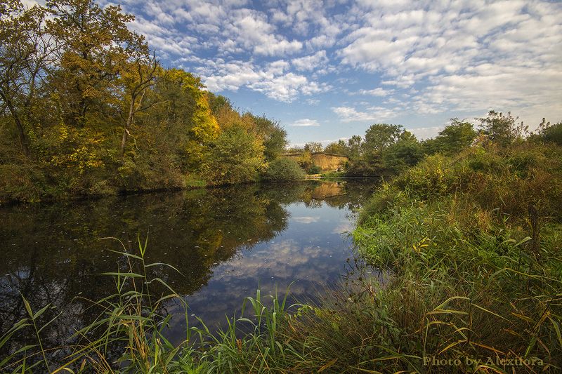 В зеркальном отраженииphoto preview