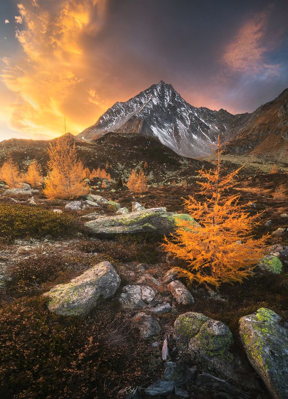 Autumn lifephoto preview