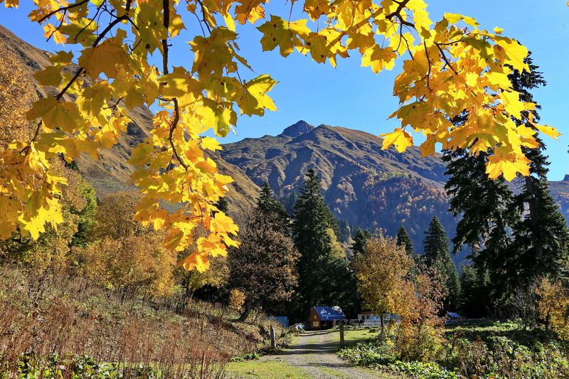 осень горы клён Тёплым осенним днём.photo preview