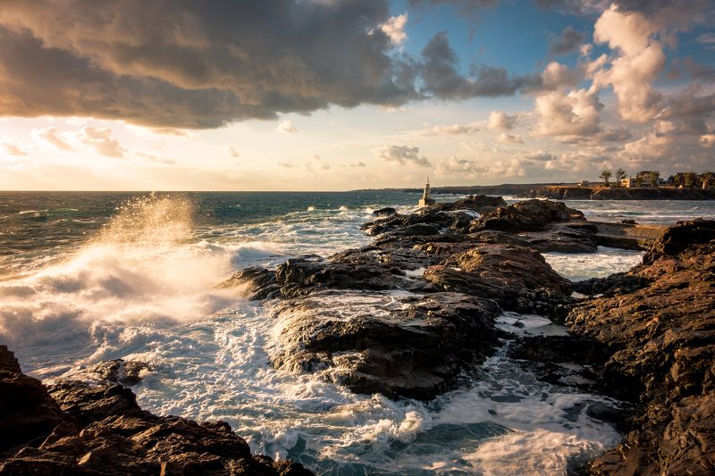 sony rx 100/4 photo preview