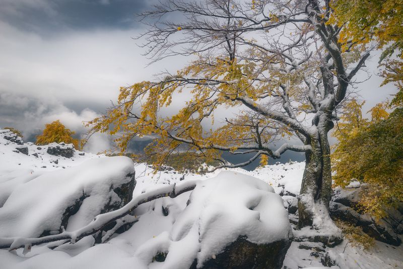 Strugglephoto preview