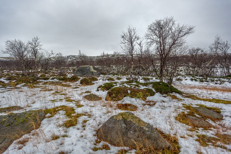 ...сплин осеннийphoto preview