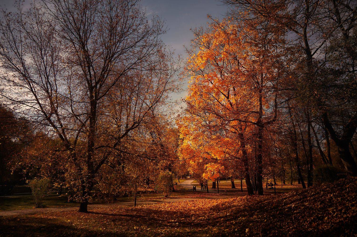 , Булатов Дмитрий