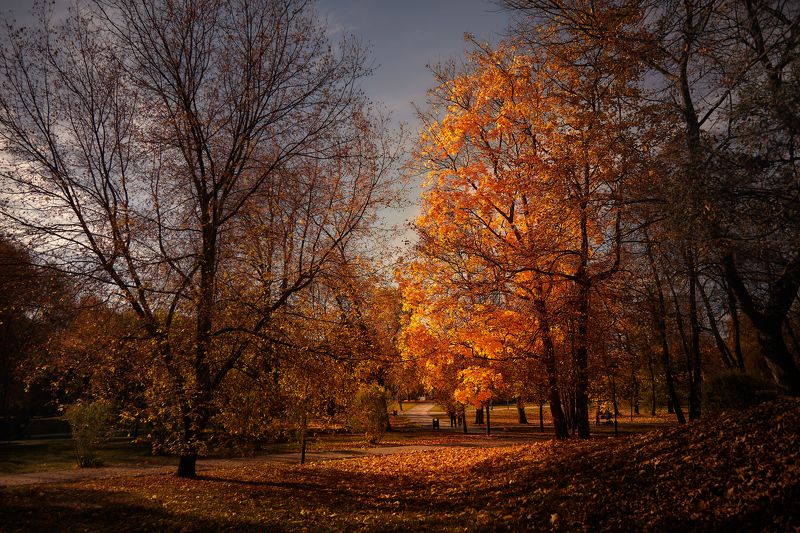 осенний закат фото превью