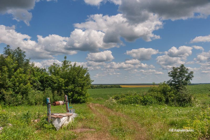 На хуторе Зеленая Криницаphoto preview