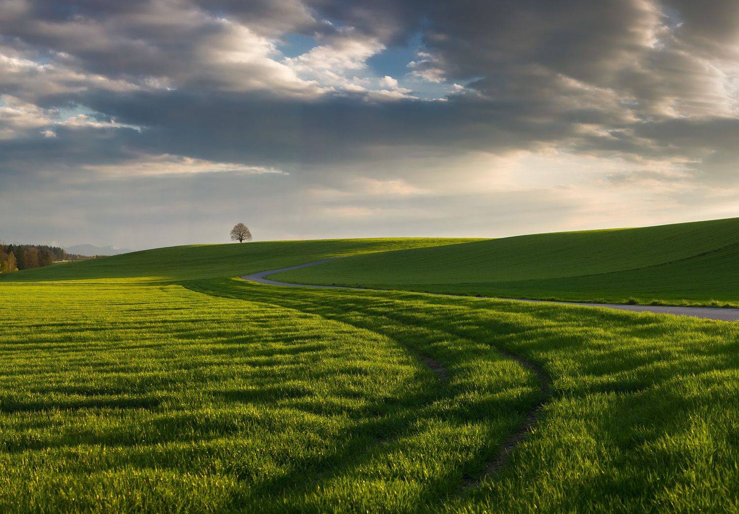 германия, бавария, весна, Геннадий Финенко