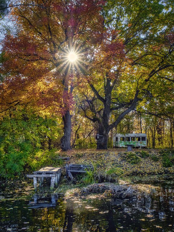 осень, деревья, река, мосток, солнце, лучистый, красочный забытое местоphoto preview