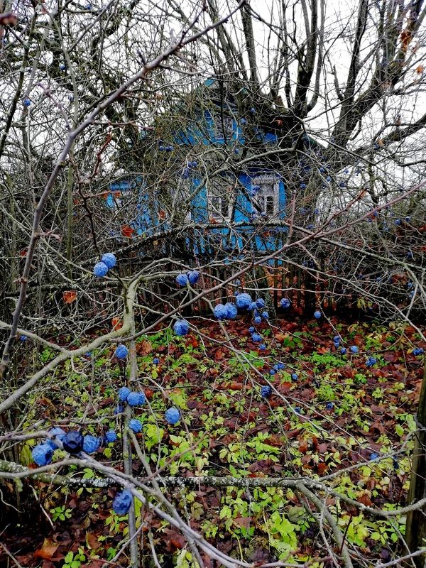 Красота поздней осени.photo preview