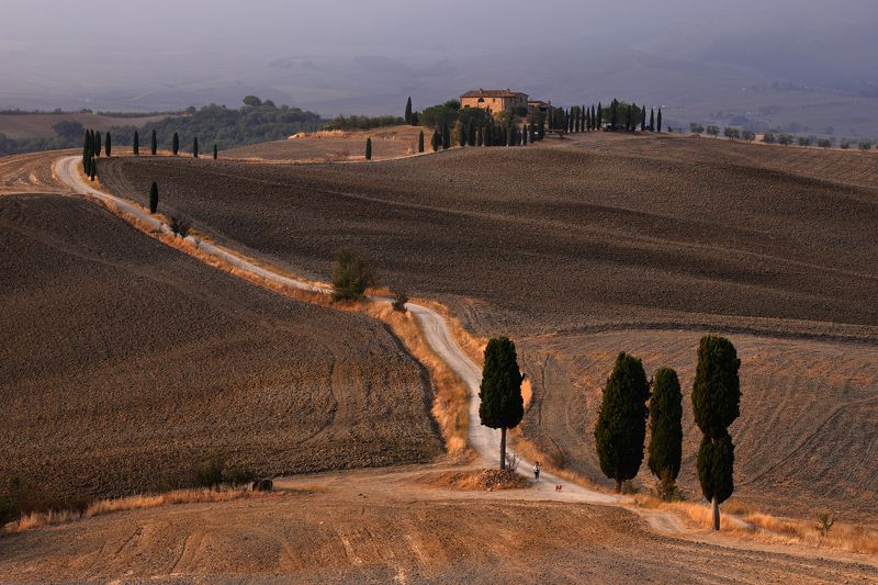 tuscany, pienza, road, gladiator, morning, cypress, autumn, Strada di Terrapillephoto preview
