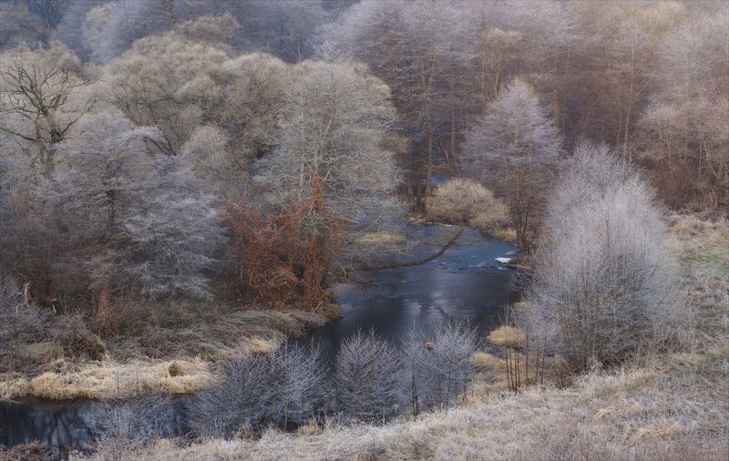 По берегам р.Вашана.photo preview