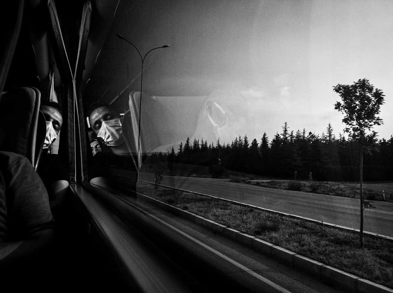 Bus Tripphoto preview