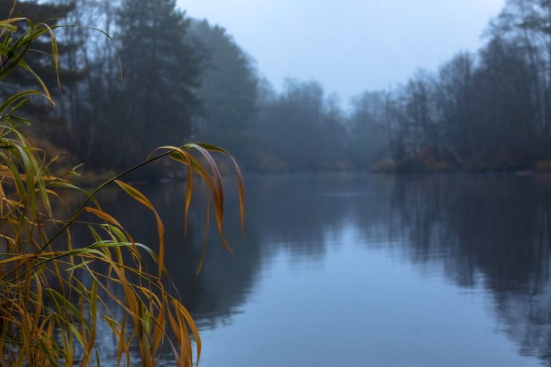 пейзаж, природа, утро, рассвет, река, небо, туман Туманный ноябрь фото превью