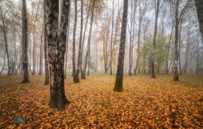 Настроение - Осень фото превью