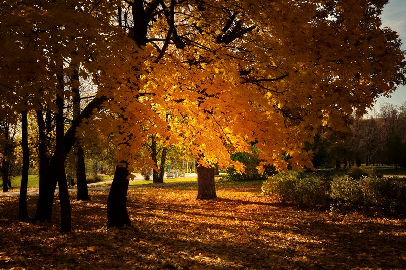 в октябре.. фото превью