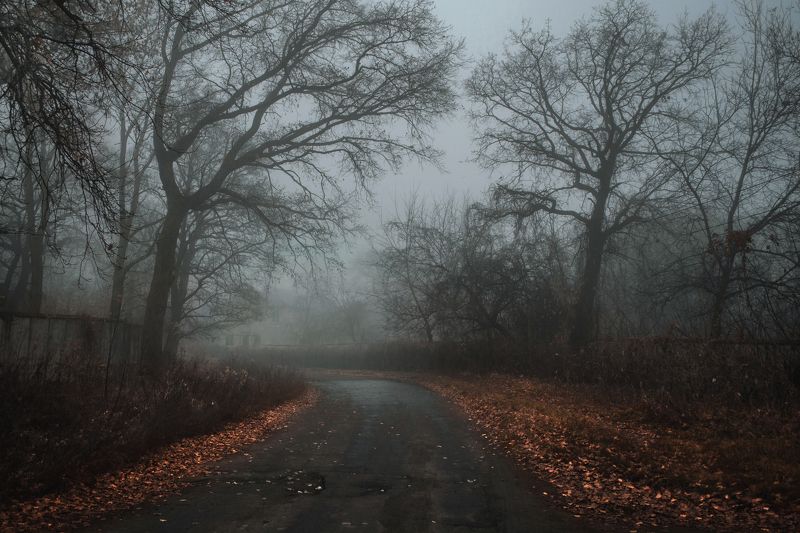 Холодный туманphoto preview