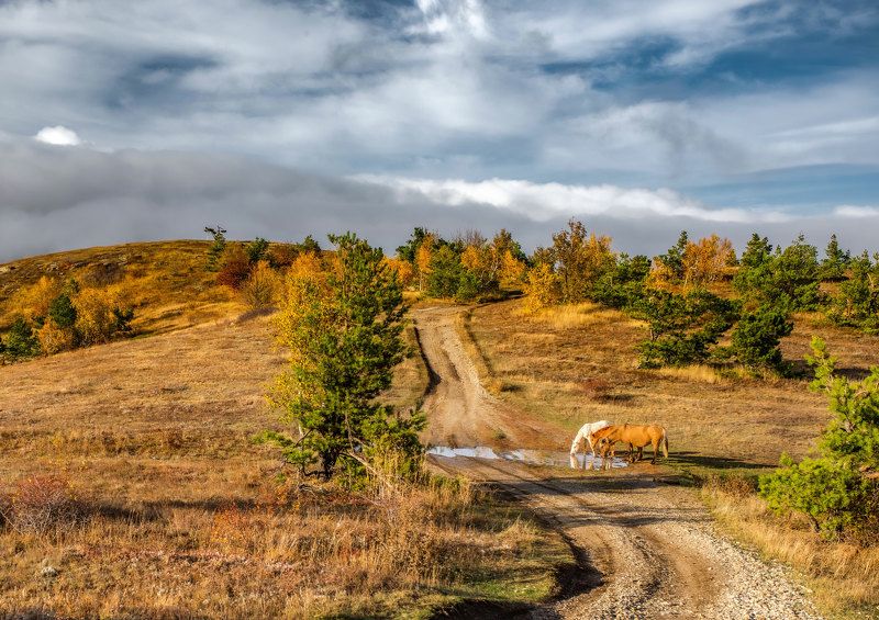 Осенняя яйла.photo preview