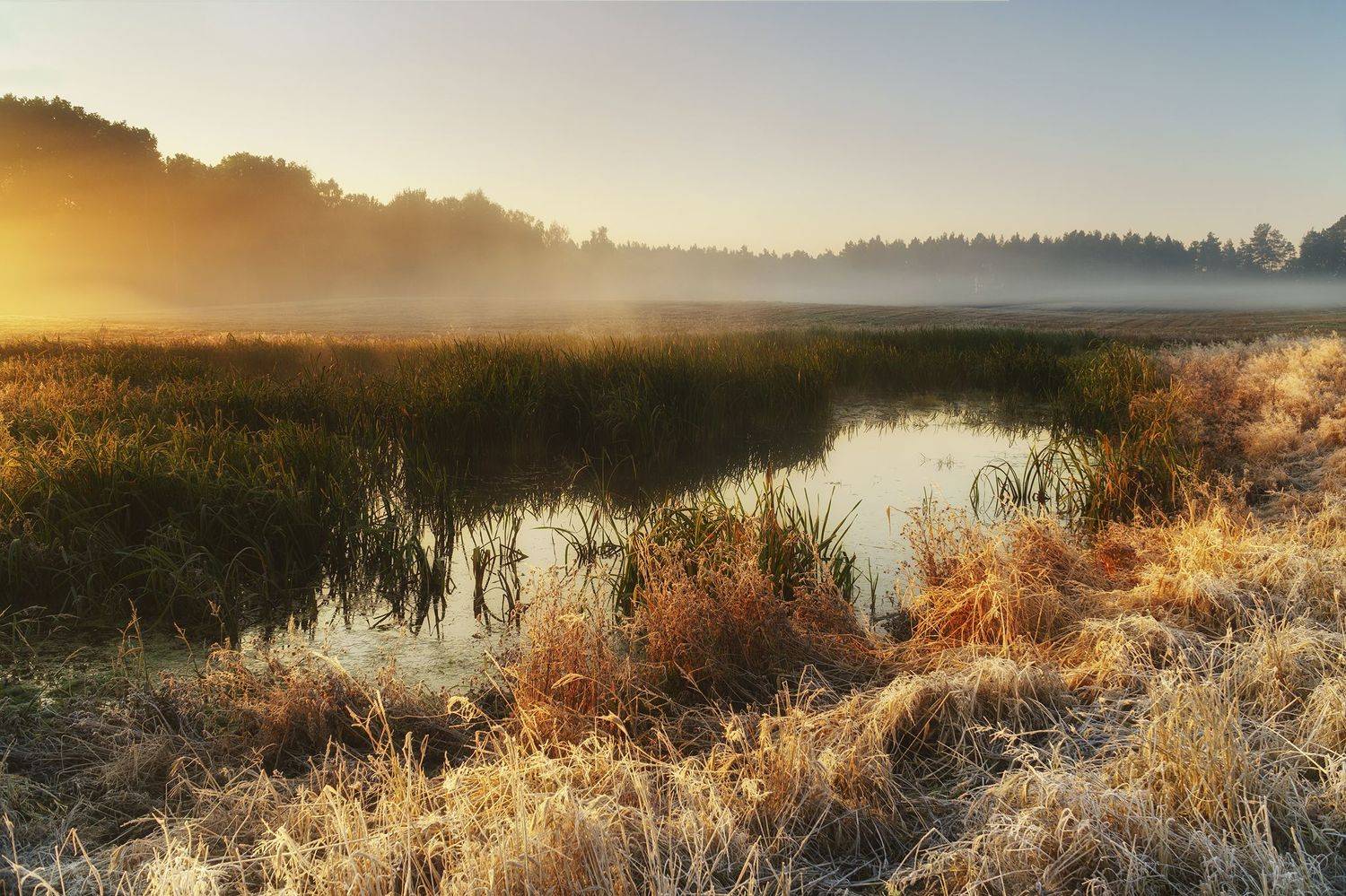 october, morning,, Lukasz Zugaj