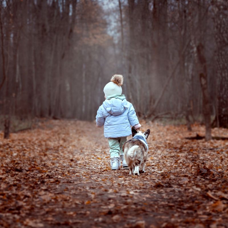 Прогулка оконченаphoto preview